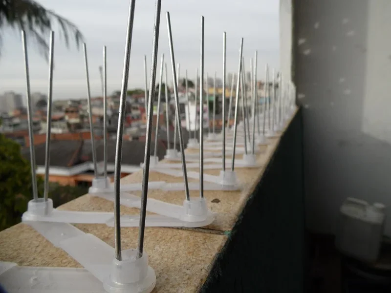 dedetizadora de pombos